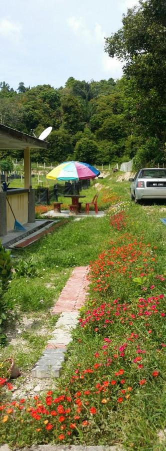 Kuntum Cottage Bed&Breakfast Kampung Tanjung Ipoh Exterior foto