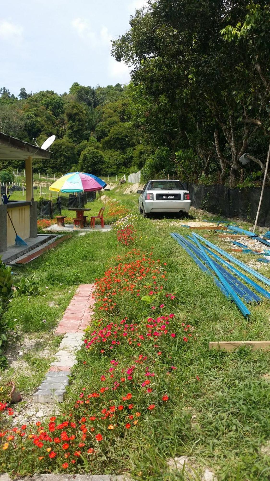 Kuntum Cottage Bed&Breakfast Kampung Tanjung Ipoh Exterior foto